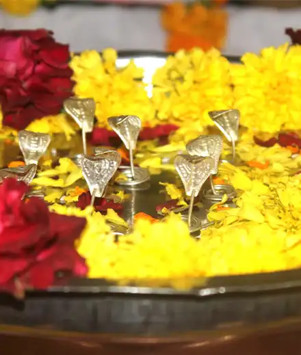 kalsarp puja