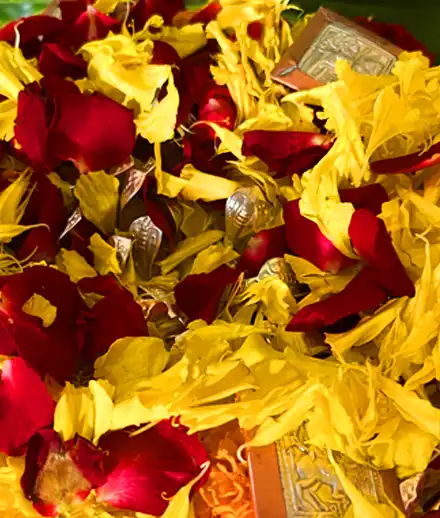 kalsarp puja